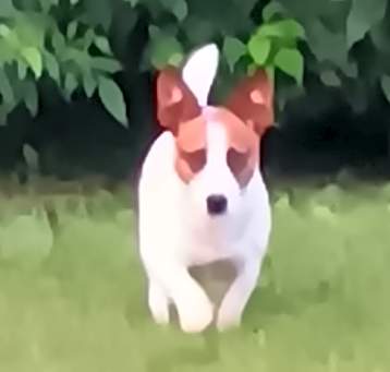 Photo of Kevin