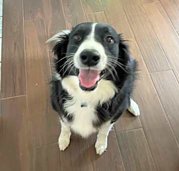 Photo of Kylo