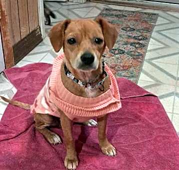 Photo of Bonnie