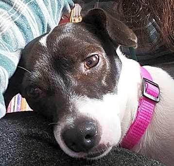 Photo of Cherri (WA)