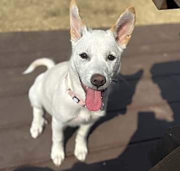 Photo of RIKKO