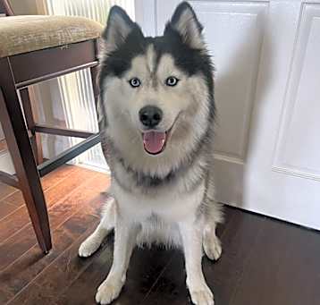 Photo of Zuko