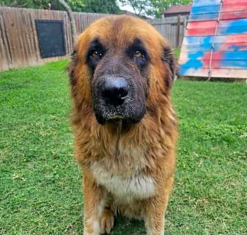 Photo of Max