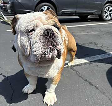Photo of Vinny