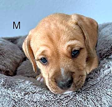 Photo of Flame