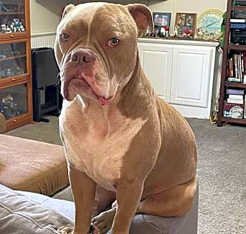 Photo of Bronx