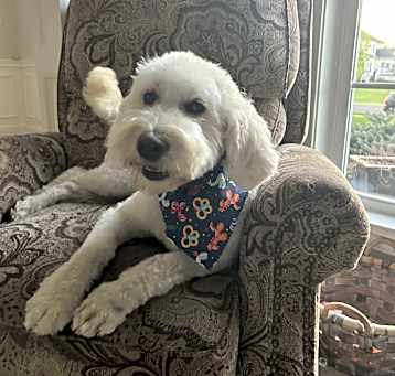 Photo of Kaia