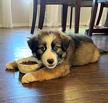 Photo of Rocky