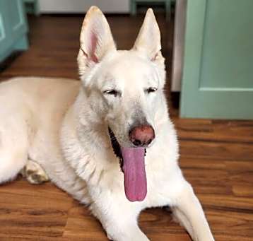 Photo of Cloud