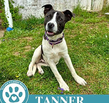 Photo of Tanner (Philly Fanatics) 042625