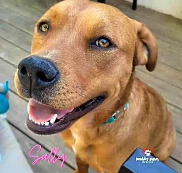 Photo of Sally (Courtesy Post)
