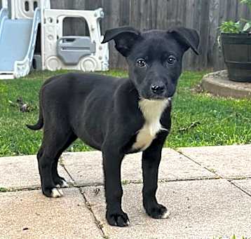 Photo of Bindi