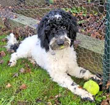 Photo of Meggie