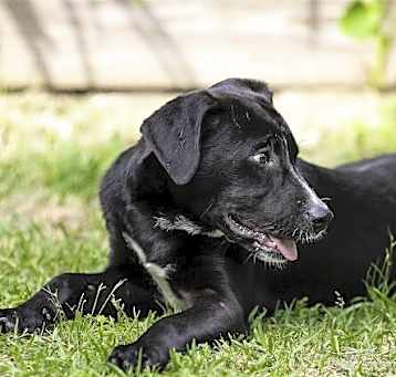 Photo of Cinder