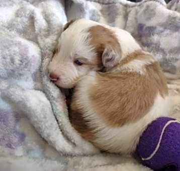 Photo of Kady Jo