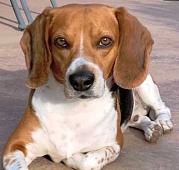 Photo of Maxi