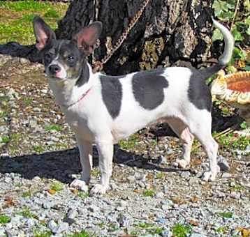 Photo of Miss Allie