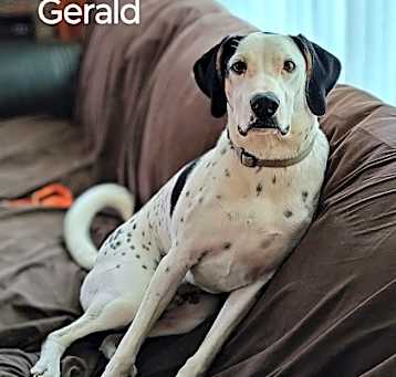 Photo of Gerald