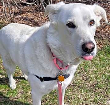 Photo of Molly