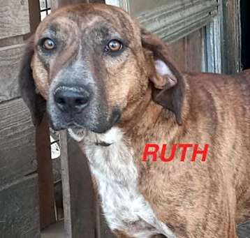 Photo of Ruth