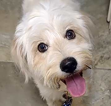 Photo of Mozzie
