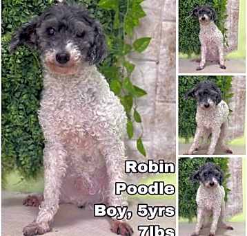 Photo of Robin from Korea