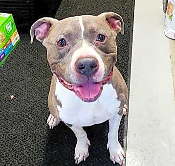 Photo of Zeus