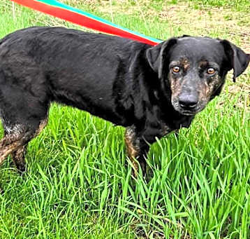 Photo of Betty