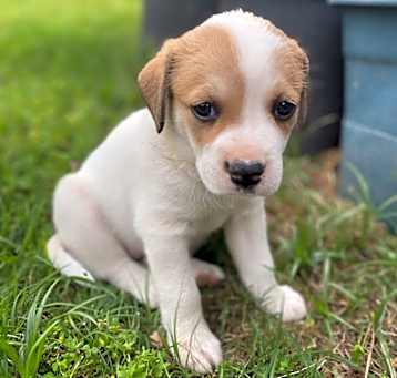 Photo of Lyla