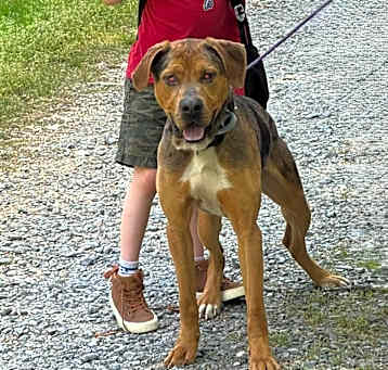 Photo of Rufus