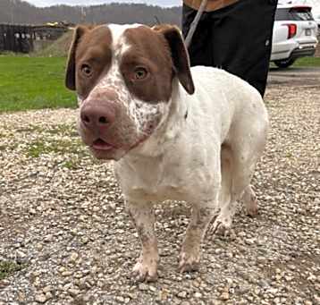 Photo of Leroy