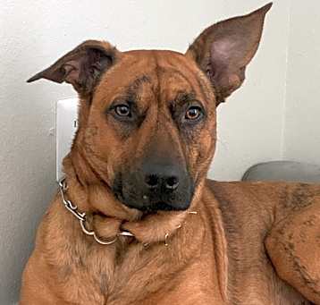 Photo of Maxie