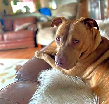 Photo of Winky