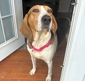 Photo of Rhonda