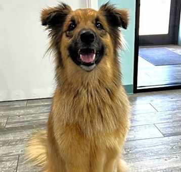 Photo of Little Bear