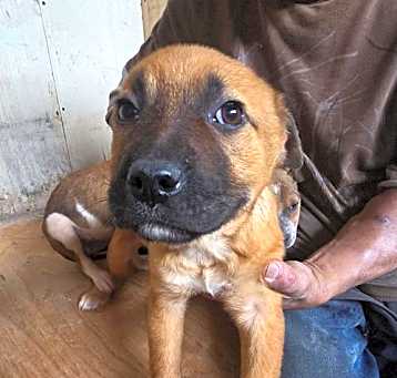 Photo of Nova