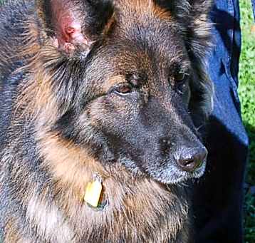 Photo of Skye AD 02-21-25