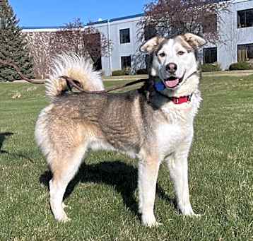 Photo of Zephyr