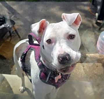 Photo of Lucy
