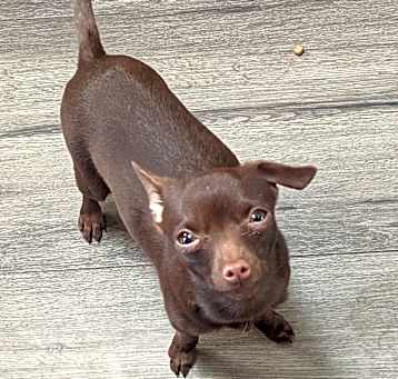 Photo of Little