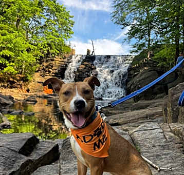 Photo of Rudy