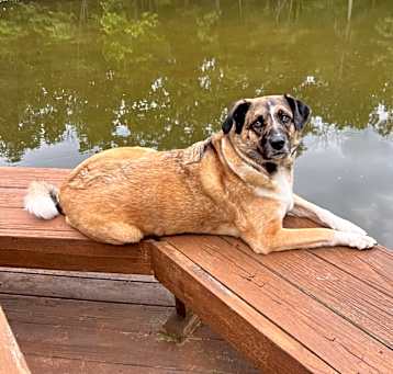 Photo of Bugsy