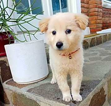 Photo of Teddy