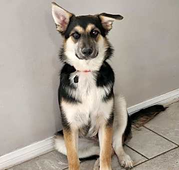 Photo of Felix