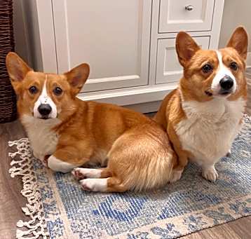 Photo of Winston and Winslow