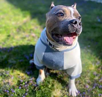 Photo of Kilo