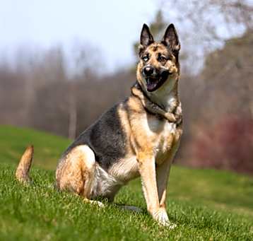 Photo of Jewels - Kitchener