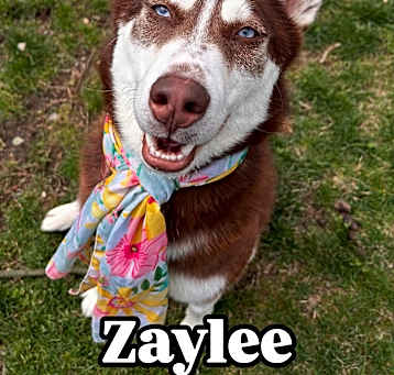 Photo of Zaylee