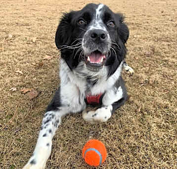 Photo of Griffin
