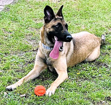 Photo of Nala